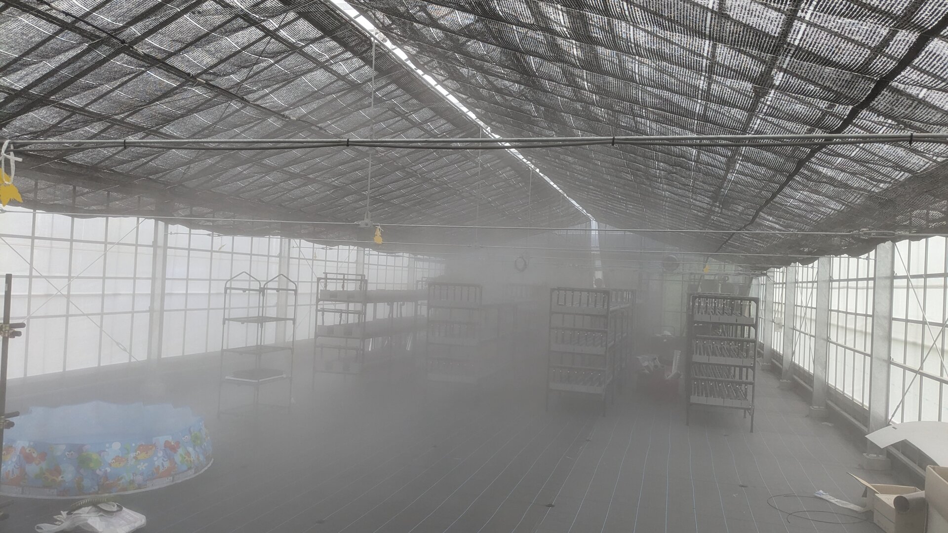 ハウス内で細霧冷房が稼働中