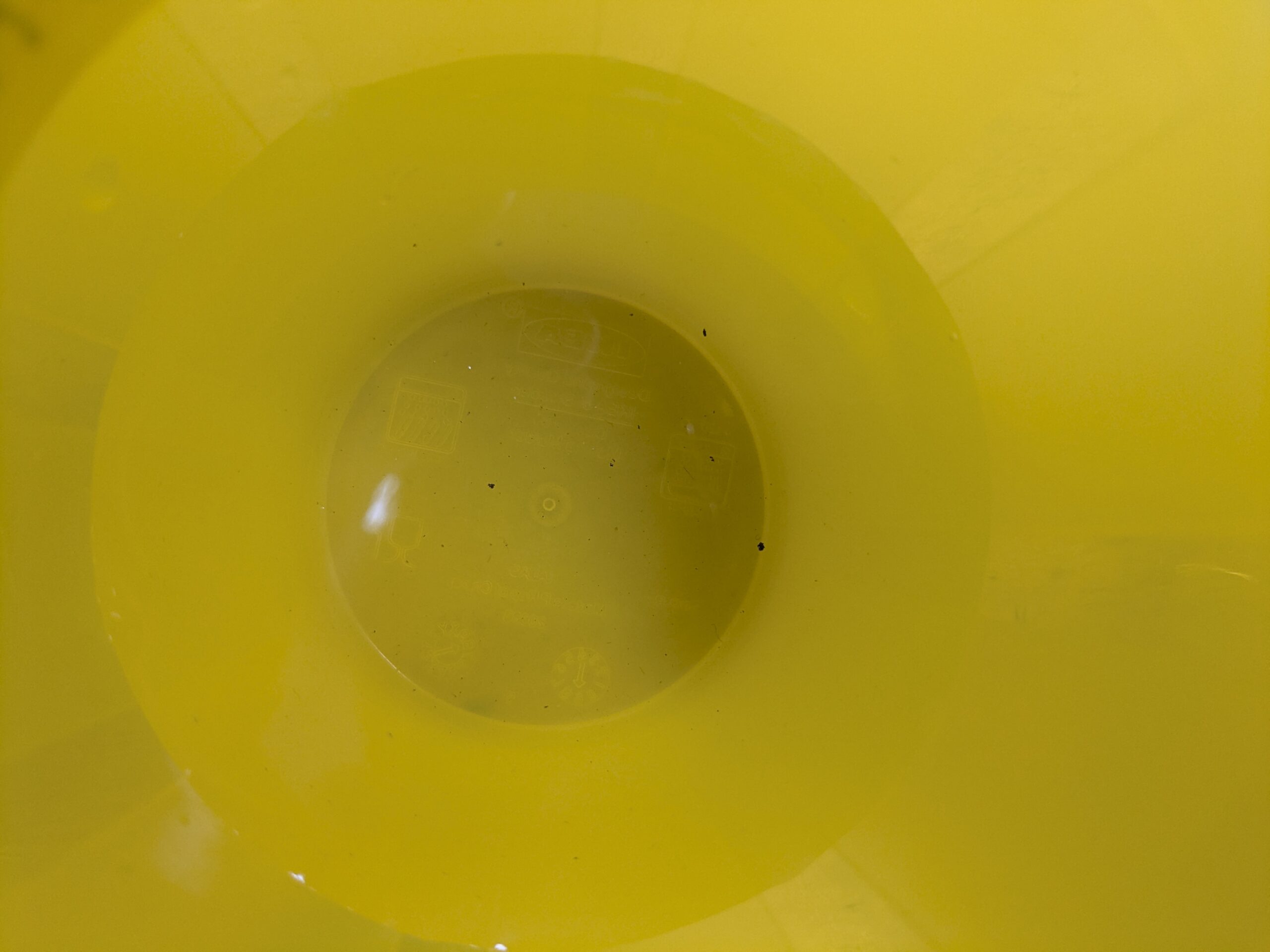 クエン酸液の底に残った黒いゴミ(溶け出した鉄分)
